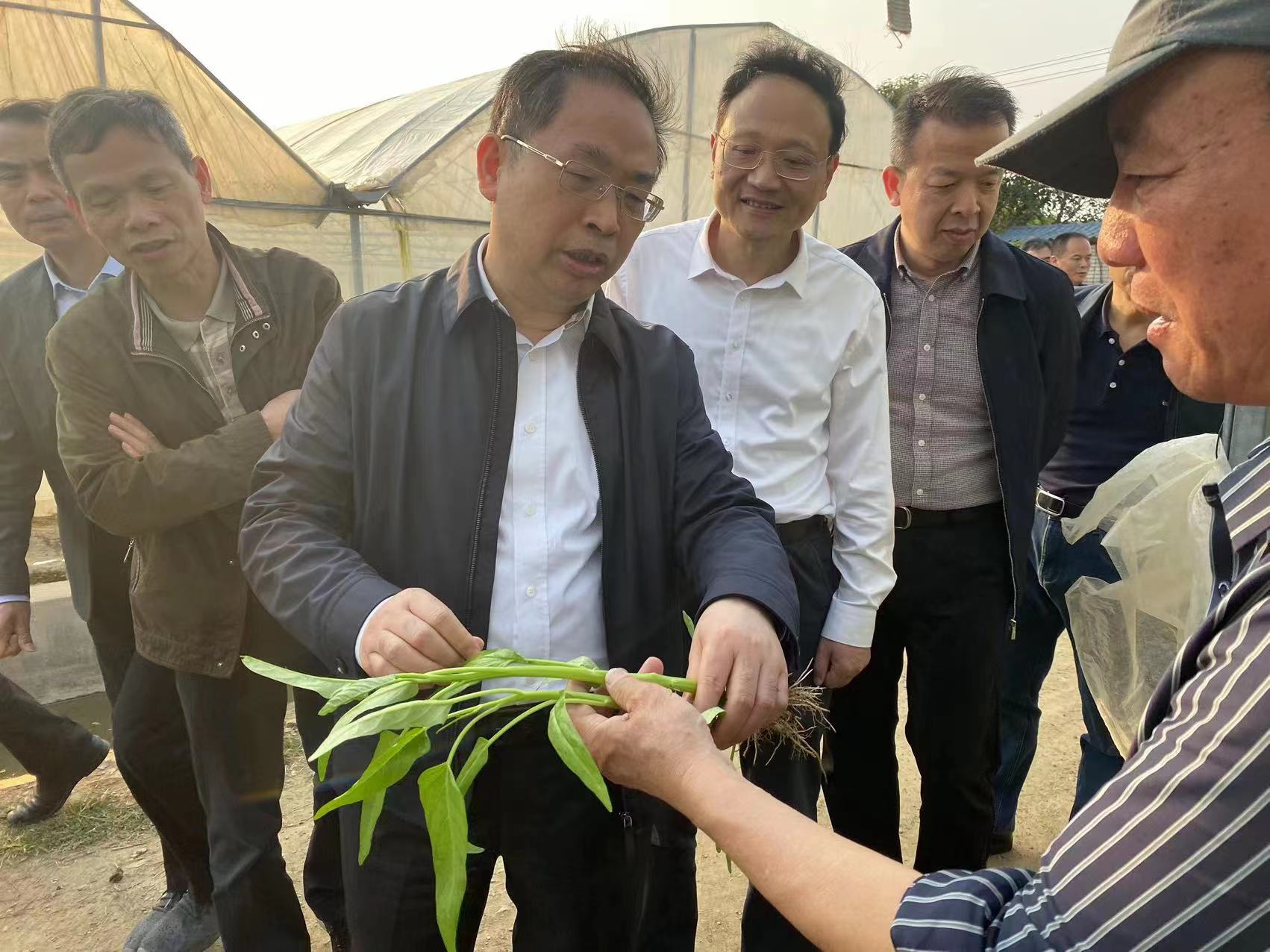 全国供销总社监事会副主任苏泽文一行来榕调研