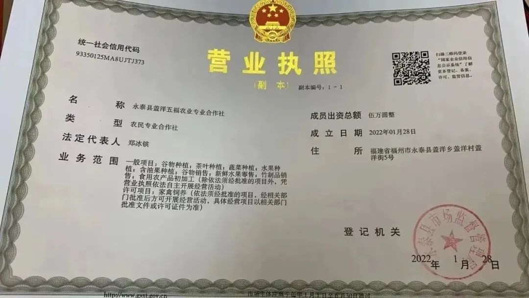 盖洋青红酒飘香 酿出乡村振兴“好滋味”