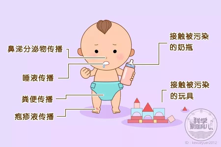 网传福州所谓"新型手足口病毒"并不新,疫情真相看这里