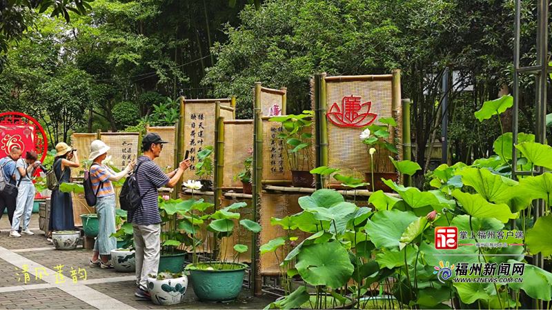 福州处处见廉景！市纪委监委着力打造“榕心树廉”廉洁文化品牌(图4)