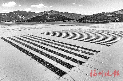 “紫气东来”！福州味叩开美国市场