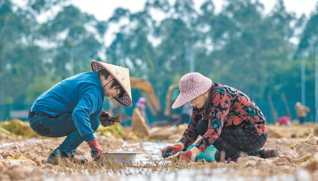 这十年 一花一茶越古今！寰宇的采用ob体育都会的守望(图3)
