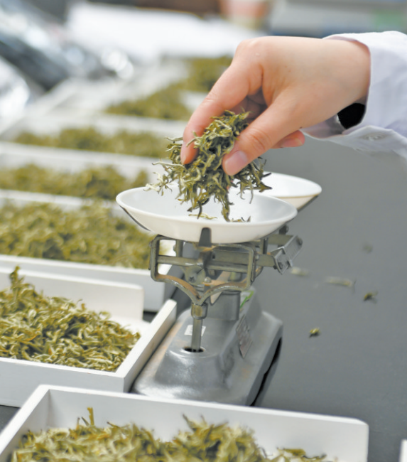 这十年 一花一茶越古今！寰宇的采用ob体育都会的守望(图4)