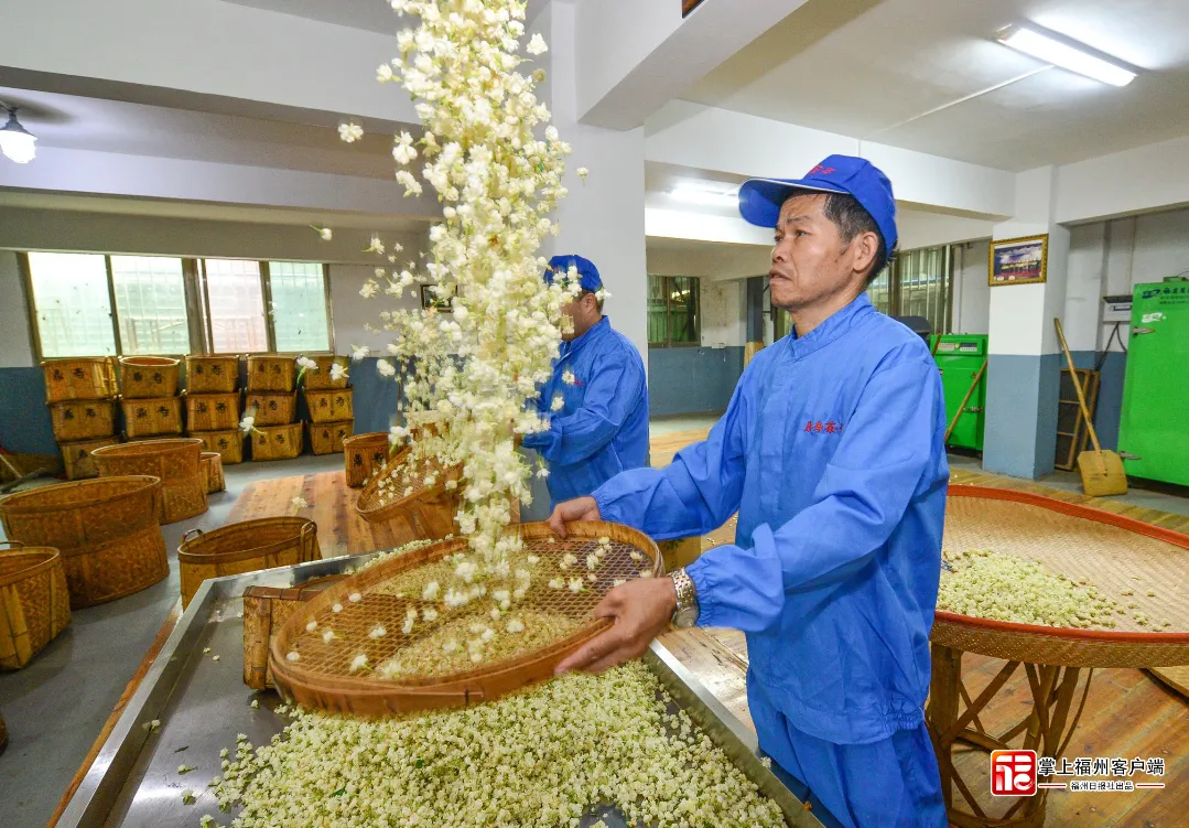 这十年 一花一茶越古今！寰宇的采用ob体育都会的守望(图5)