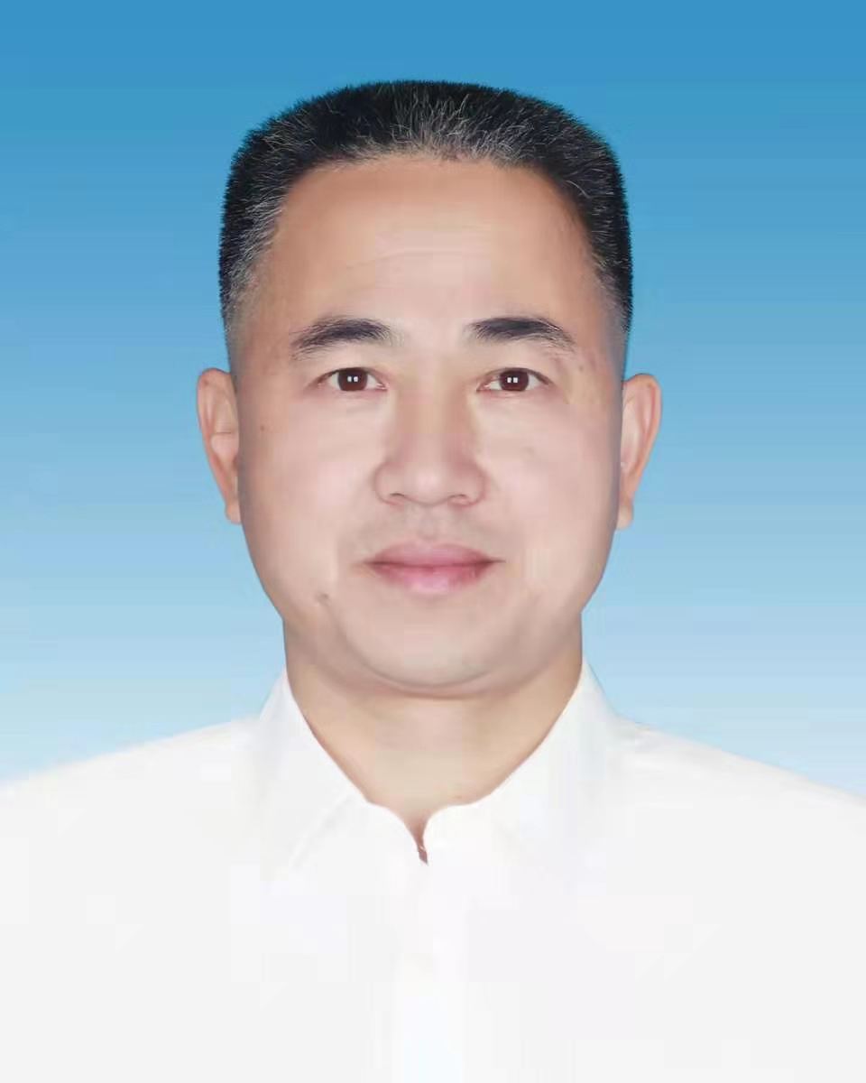 丁俊峰 党委委员、副主任