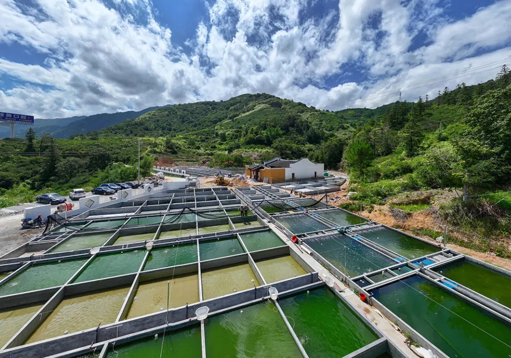永泰首个！预计年产值超千万！