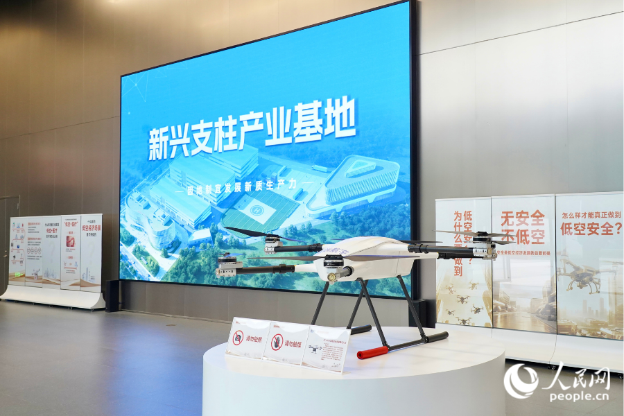 基地一楼展厅入口处,两侧分别摆放着“低空安全”与“低空+医疗”的海报展板。人民网记者 兰志飞摄