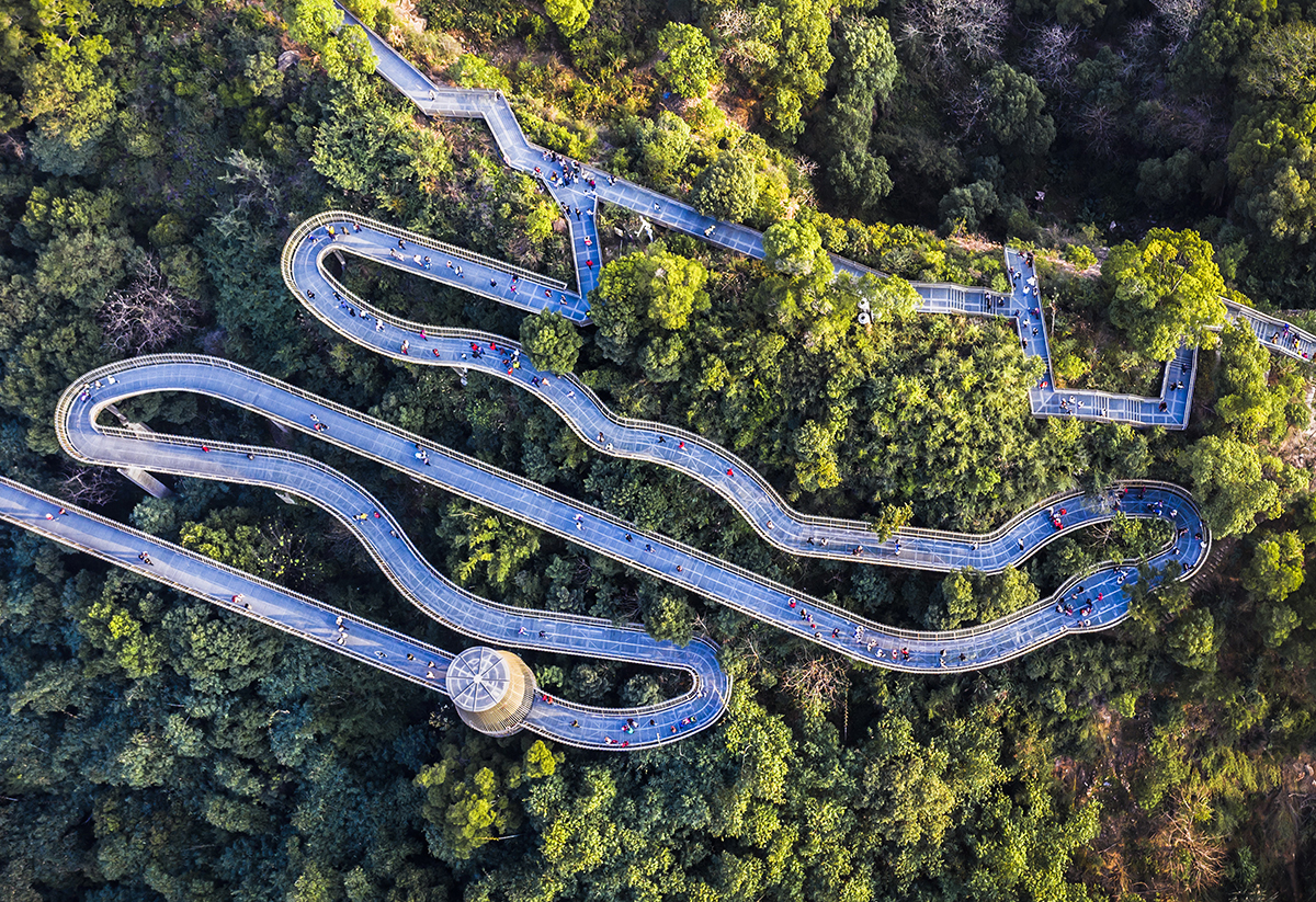 杨婀娜《蜿蜒穿林间 福道碧连天》