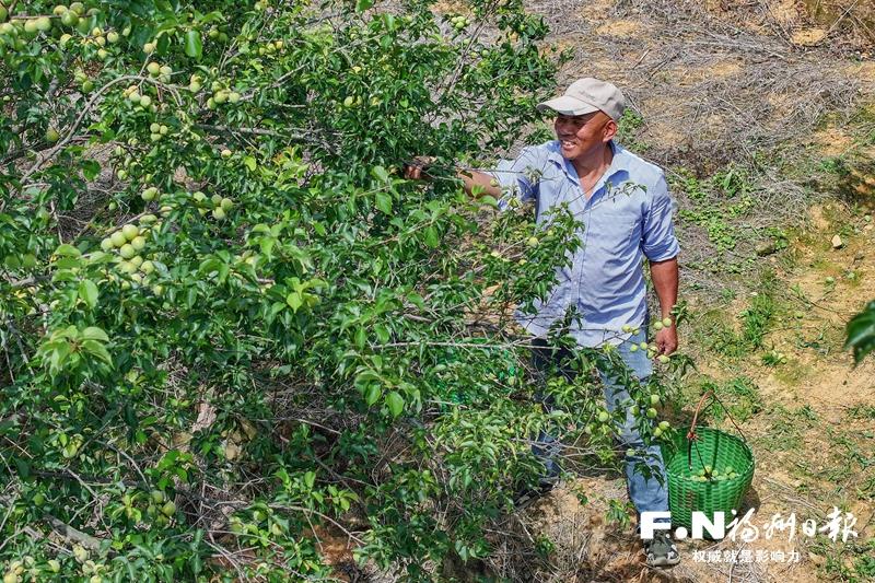 永泰首只产业投资基金落地 精准浇灌六大特色产业 永泰首只产业投资基金落地 精准浇灌六大特色产业