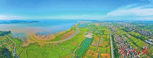 山海为卷 绿色作答 山海为卷 绿色作答