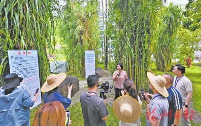 “闽宁协作 山海情长”主题采访团走进福州 “闽宁协作 山海情长”主题采访团走进福州