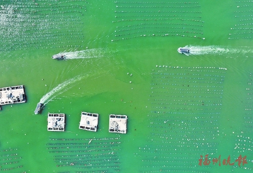 罗源吉壁村：隧道打通振兴路