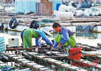 罗源吉壁村：隧道打通振兴路