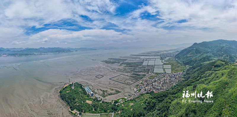 连江马鼻镇浮曦村水上建立农林牧场：密密红树林 十万大红蟳