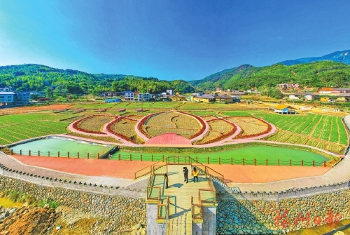 振兴快一步　千村向未来