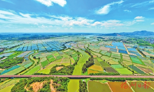 振兴快一步　千村向未来